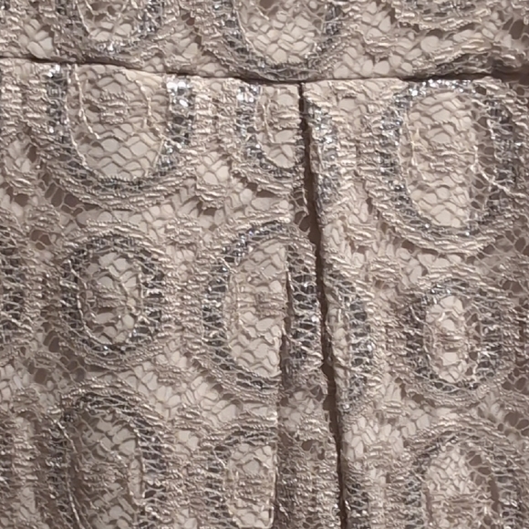 Cynthia Steffe Cream Lace Formal Dress - Picture 4 of 4